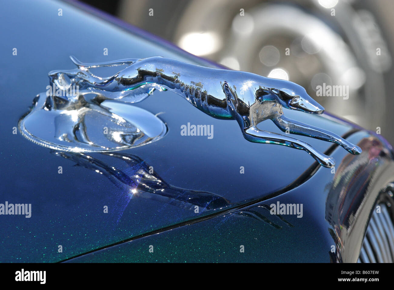 Windhund-Kühlerfigur Stockfoto