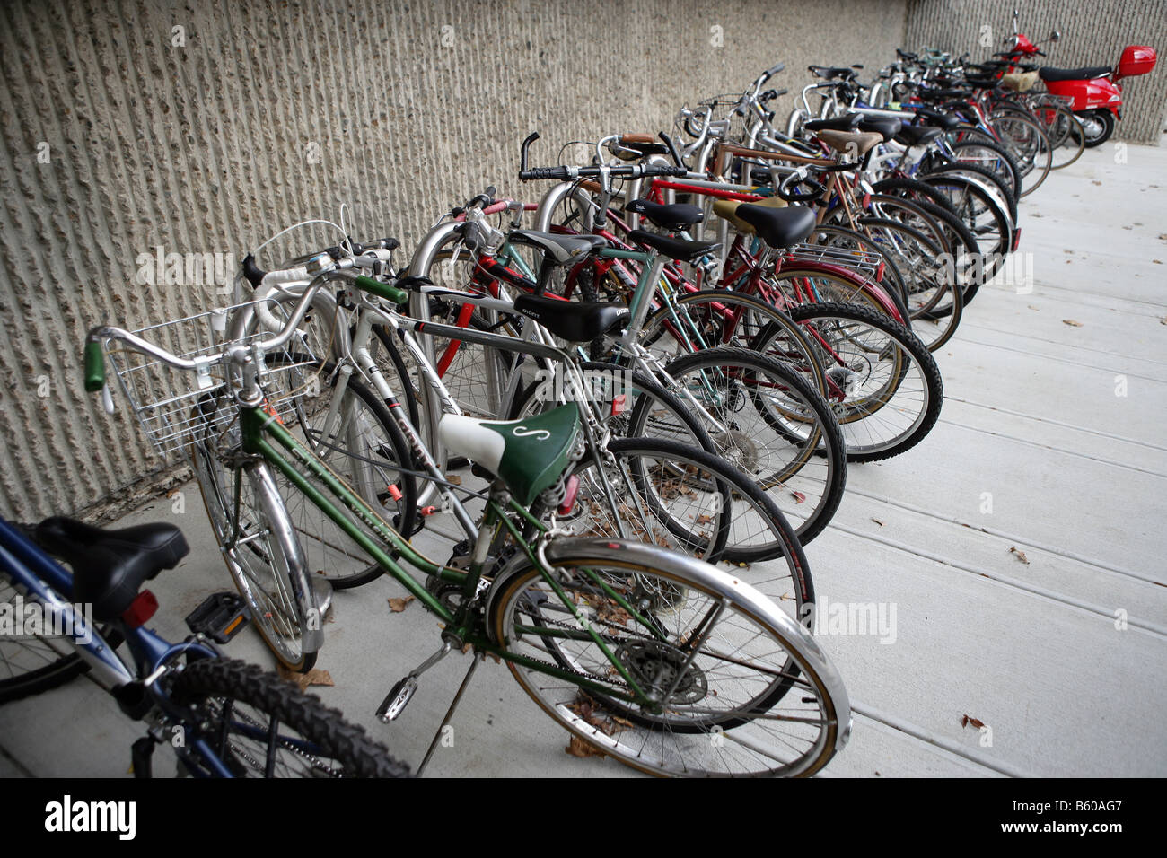 Zeilen von Fahrrädern auf einem Gestell außerhalb eines Gebäudes in New Haven Connecticut USA gesperrt Stockfoto
