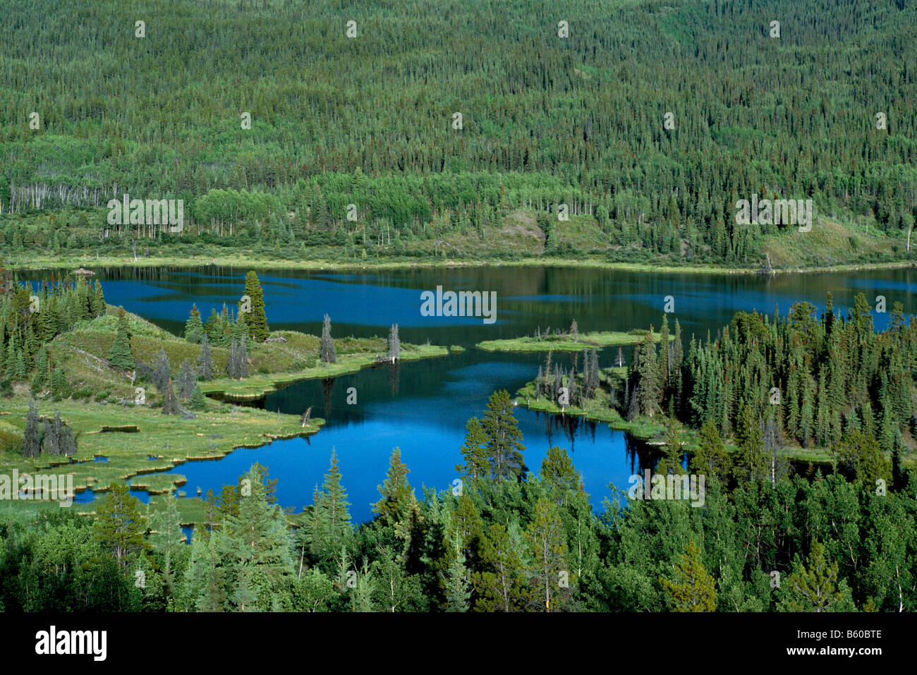 Gemischte borealen Wald, & Laub-Nadelbäume, Swan Lake Provincial Park in der Nähe von Dawson Creek, British Columbia Kanada Stockfoto