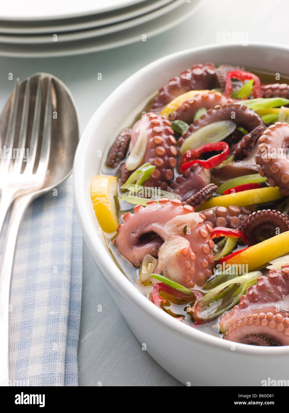 Octopus baby -Fotos und -Bildmaterial in hoher Auflösung – Alamy
