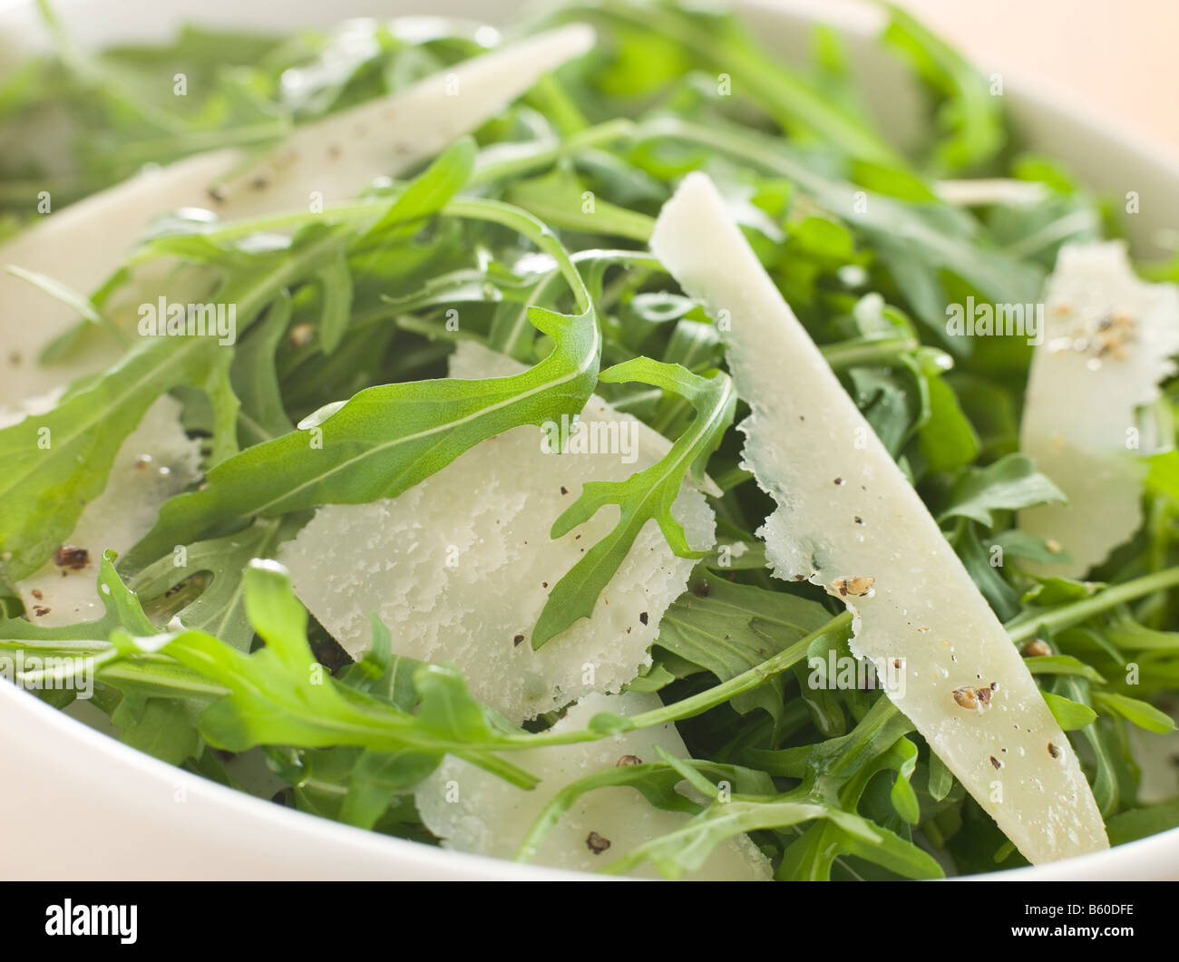 Salat von Roquette Blätter und gehobeltem Parmesan mit Olivenöl Stockfoto