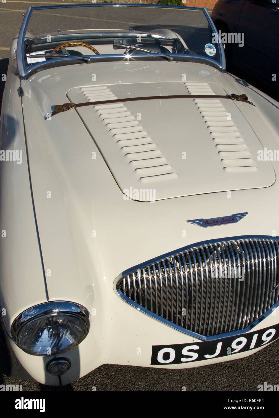 Oldtimer Austin-Healey Stockfoto