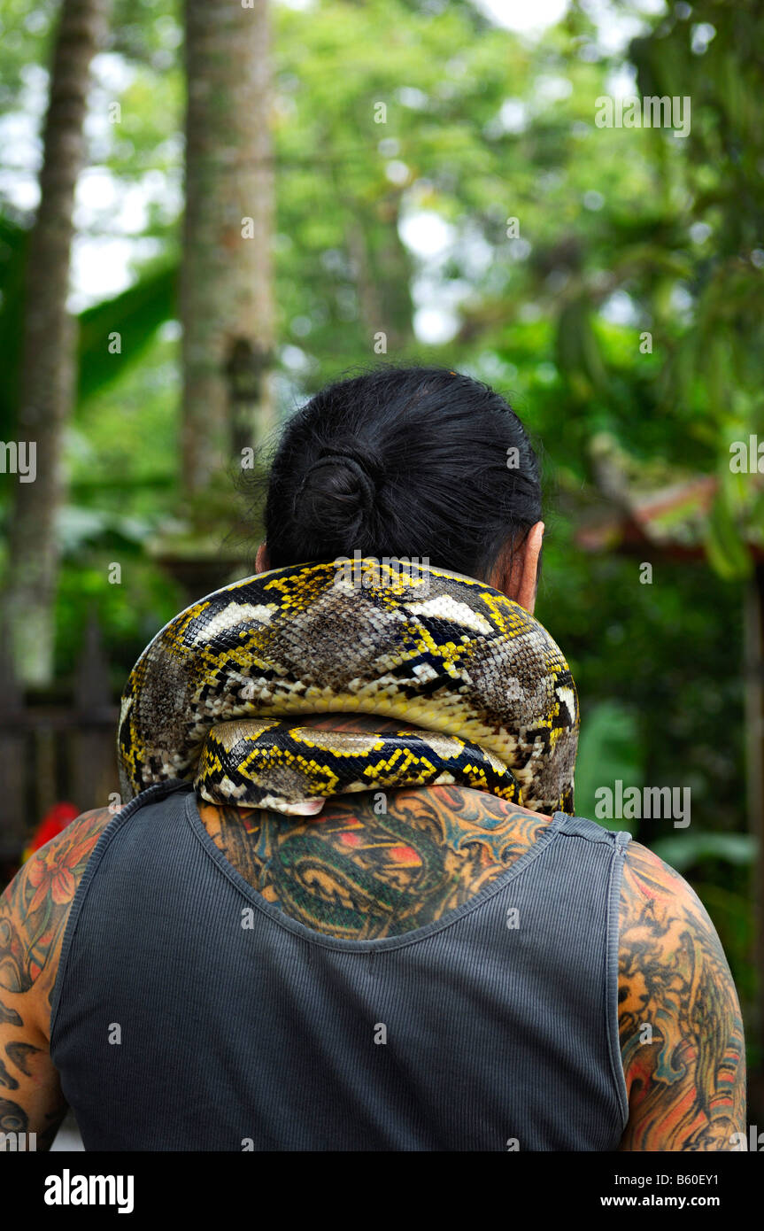 Tätowierten Mann von hinten, Python um den Hals, in der Nähe von Ubud, Bali, Indonesien, Südostasien Stockfoto