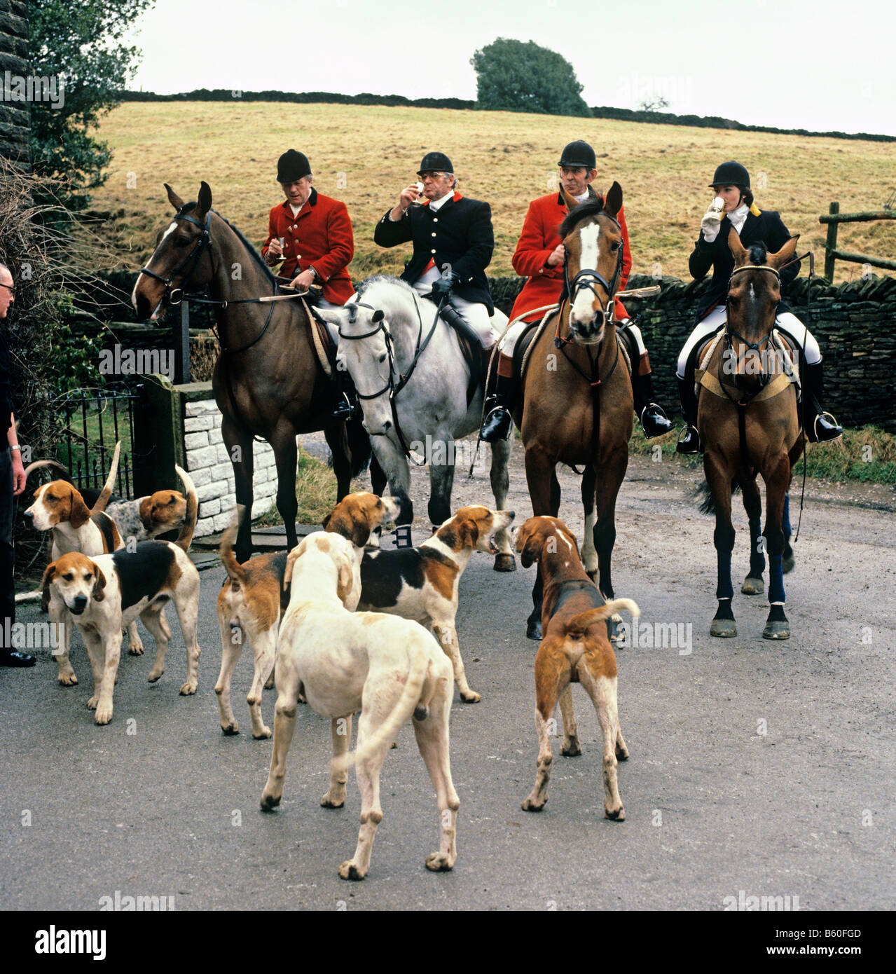 Cheshire Jagd Trinkbecher Steigbügel mit Hunden vor dem Verbot der Fuchsjagd Stockfoto