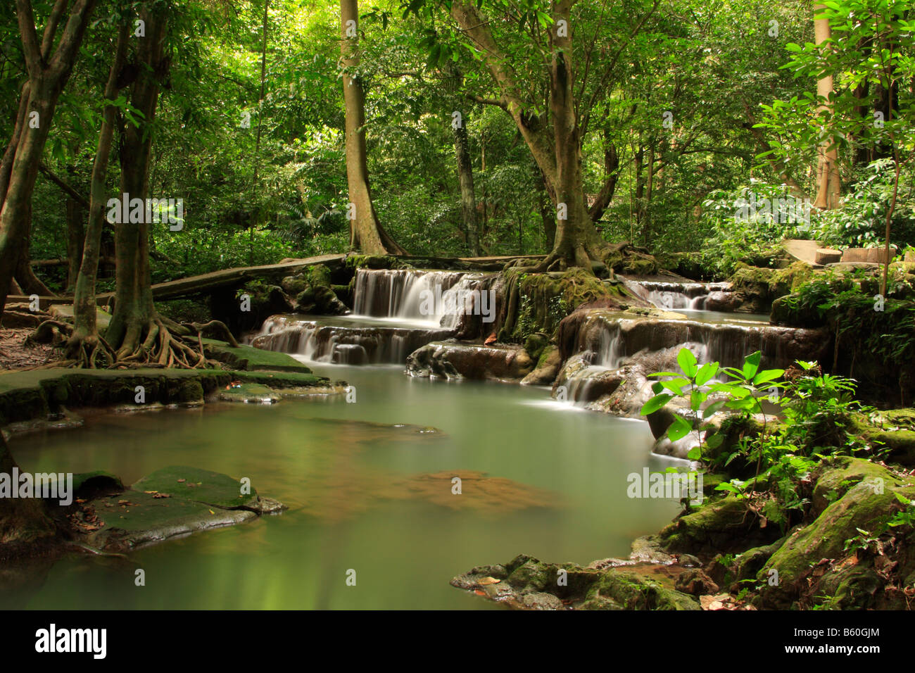 Wald, Wasserfall, als Bok Khorani National Park in der Nähe von Krabi, Thailand, Asien Stockfoto