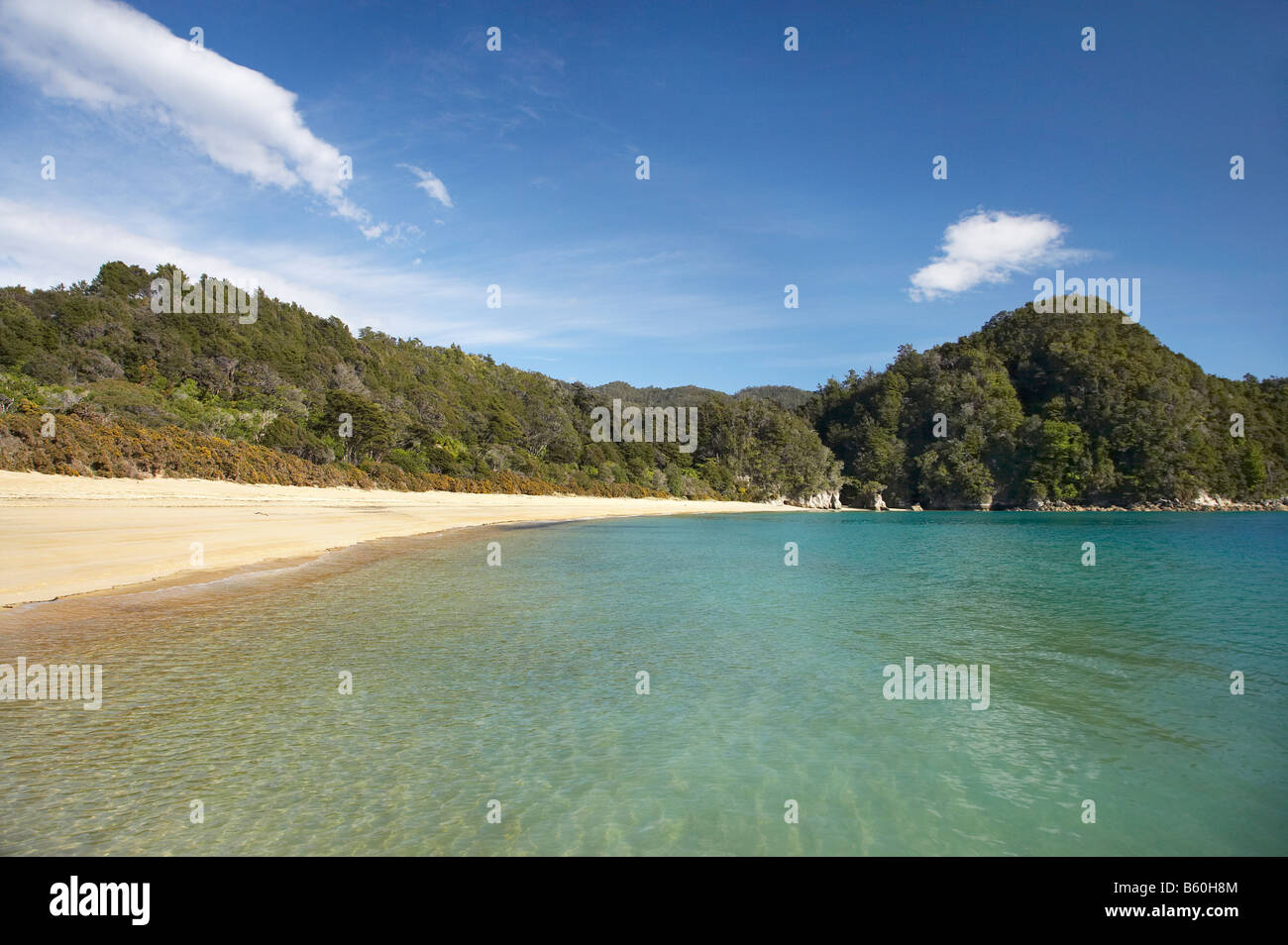 Der Ankerplatz Torrent Bay Abel Tasman Nationalpark Nelson Region Südinsel Neuseelands Stockfoto