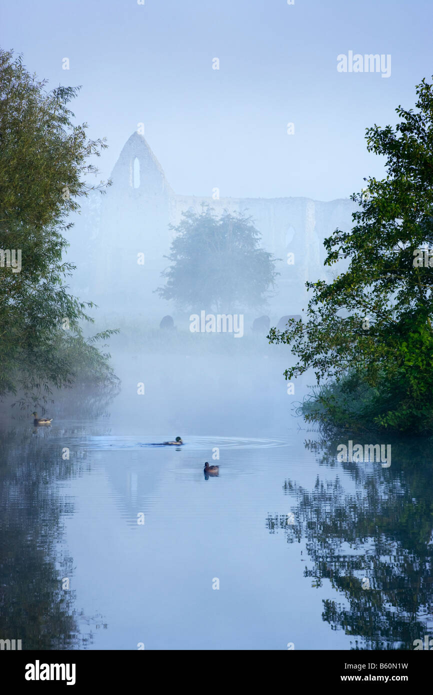 Newark Prior und Fluss Wey, Pyrford, Surrey, UK. Misty Dawn im Frühherbst. Stockfoto