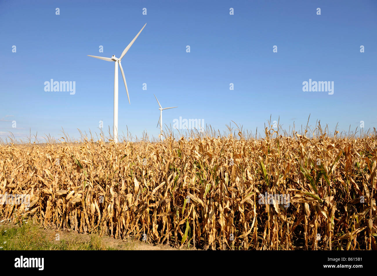 Minnesota Wind Turbine Windmühle auf Hof Feld erzeugen Strom alternative Energie Stockfoto