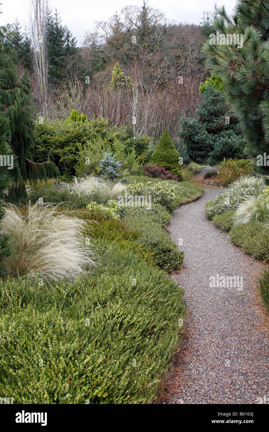 DER WINTERGARTEN IM RHS ROSEMOOR GARTEN DEVON MIT RHS GENEHMIGUNG FOTOGRAFIERT Stockfoto