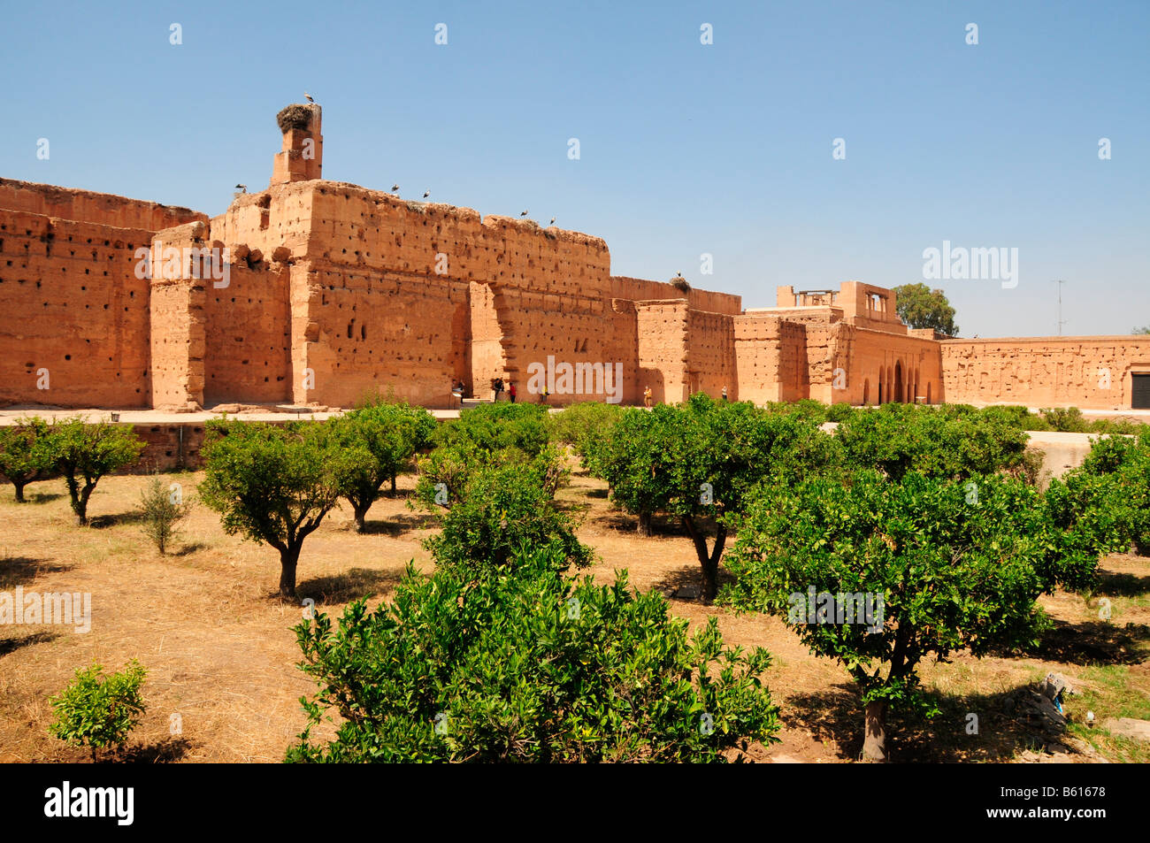 Störche auf der Wand des Badi-Palast, Marrekesh, Marokko, Afrika Stockfoto