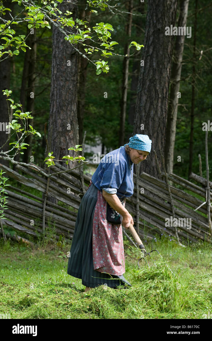 Bäuerin Heu, Open Air Museum, Tallinn, Estland, Baltikum, Nordosteuropa Stockfoto