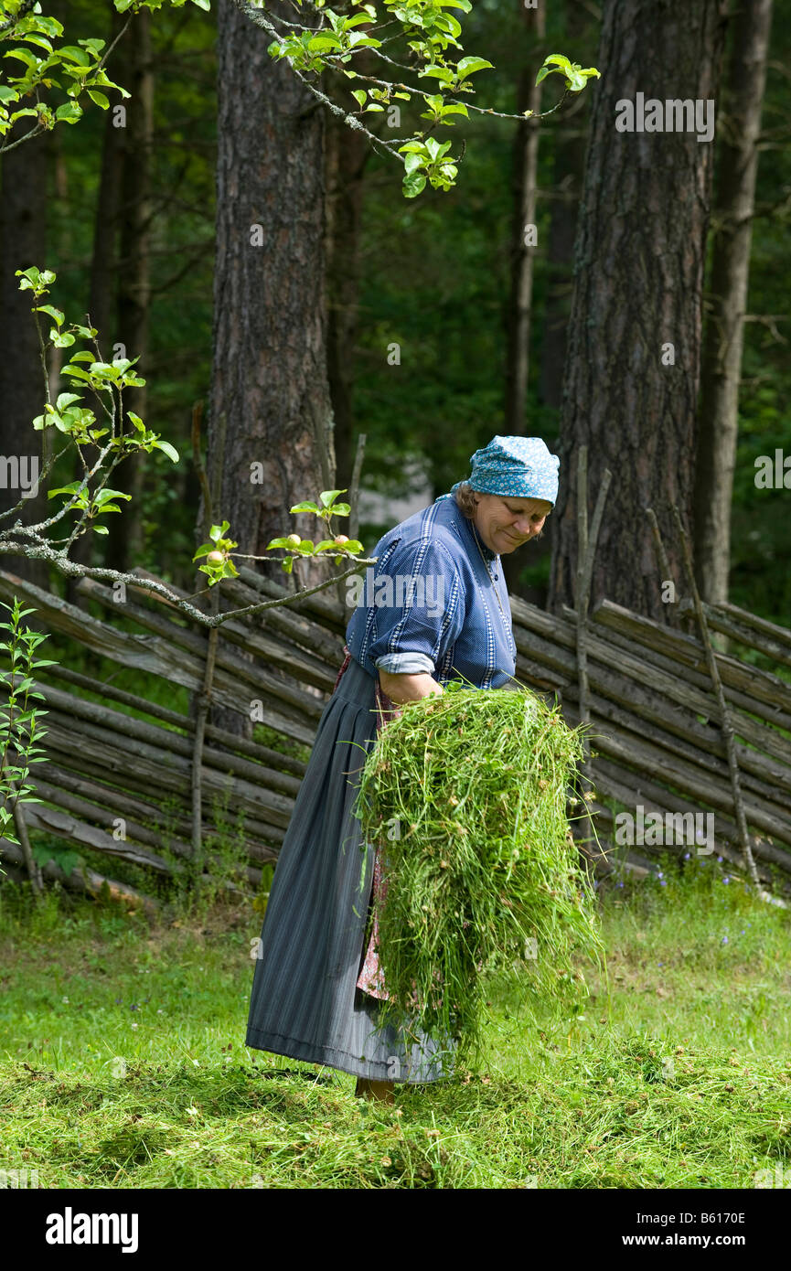 Bäuerin Heu, Open Air Museum, Tallinn, Estland, Baltikum, Nordosteuropa Stockfoto