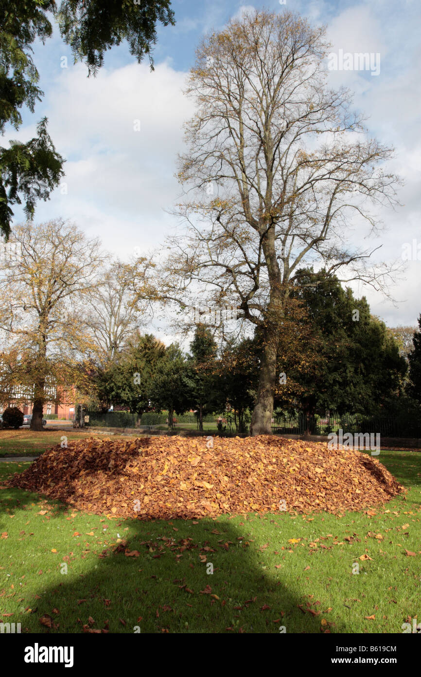 Große Haufen Blätter in einem Park in Chester, England Stockfoto