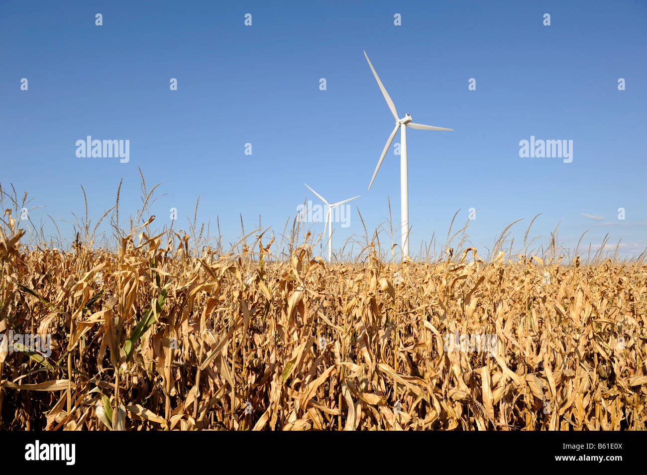 Minnesota Wind Turbine Windmühle auf Hof Feld erzeugen Strom alternative Energie Stockfoto