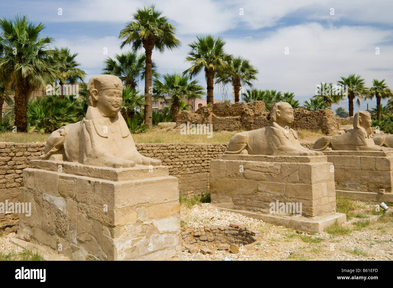 Die Allee der Sphinx auf dem Luxor-Tempel in Luxor, Ägypten Stockfoto