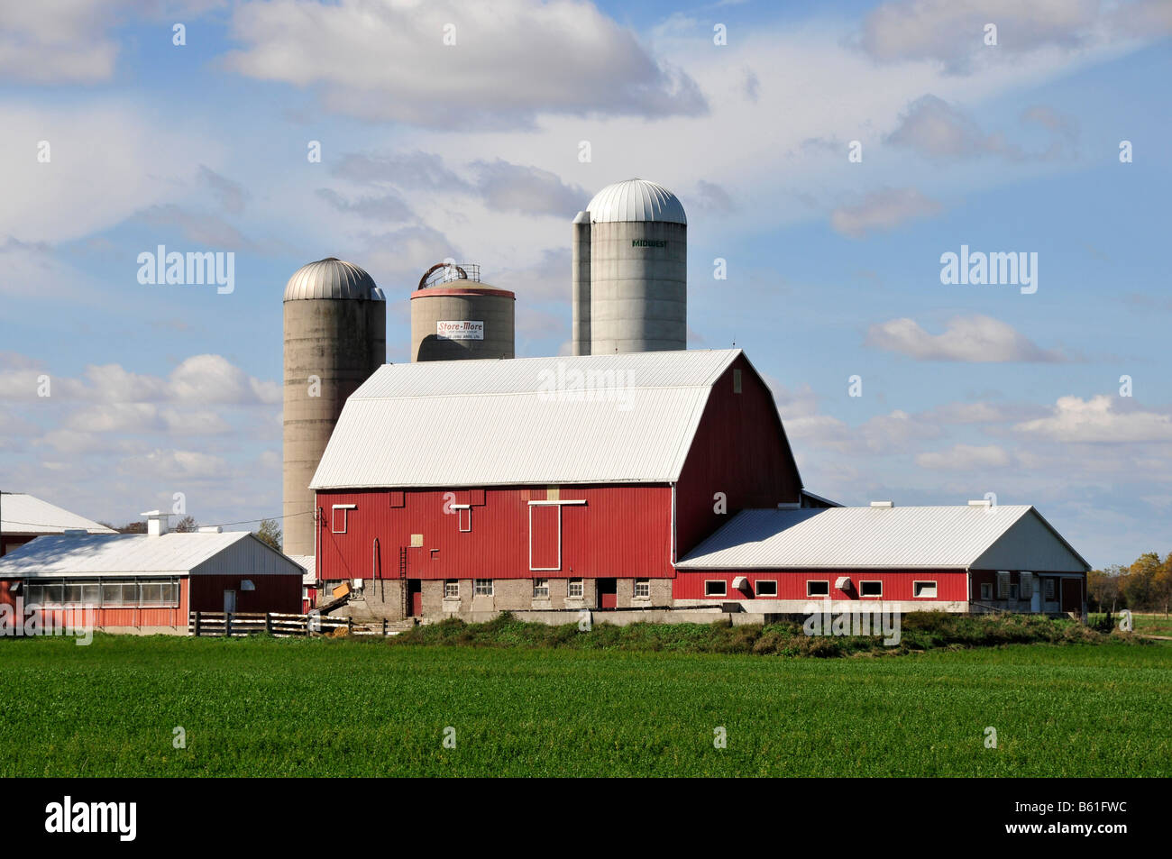 Rote Scheune in Südost-Minnesota Stockfoto