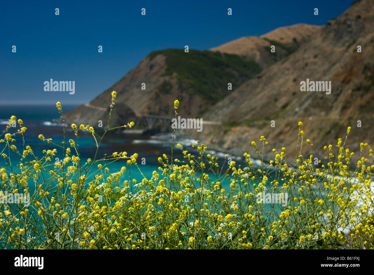 Pacific Coast Highway, einer Stockfoto