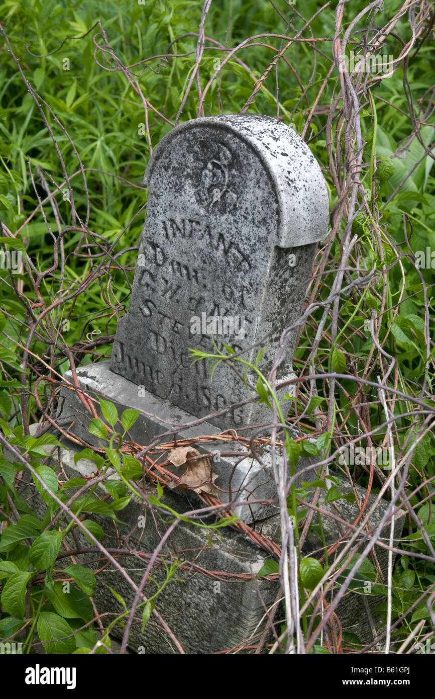 Grabstein in verlassenen Friedhof in Zustand Natur bewahren Stockfoto