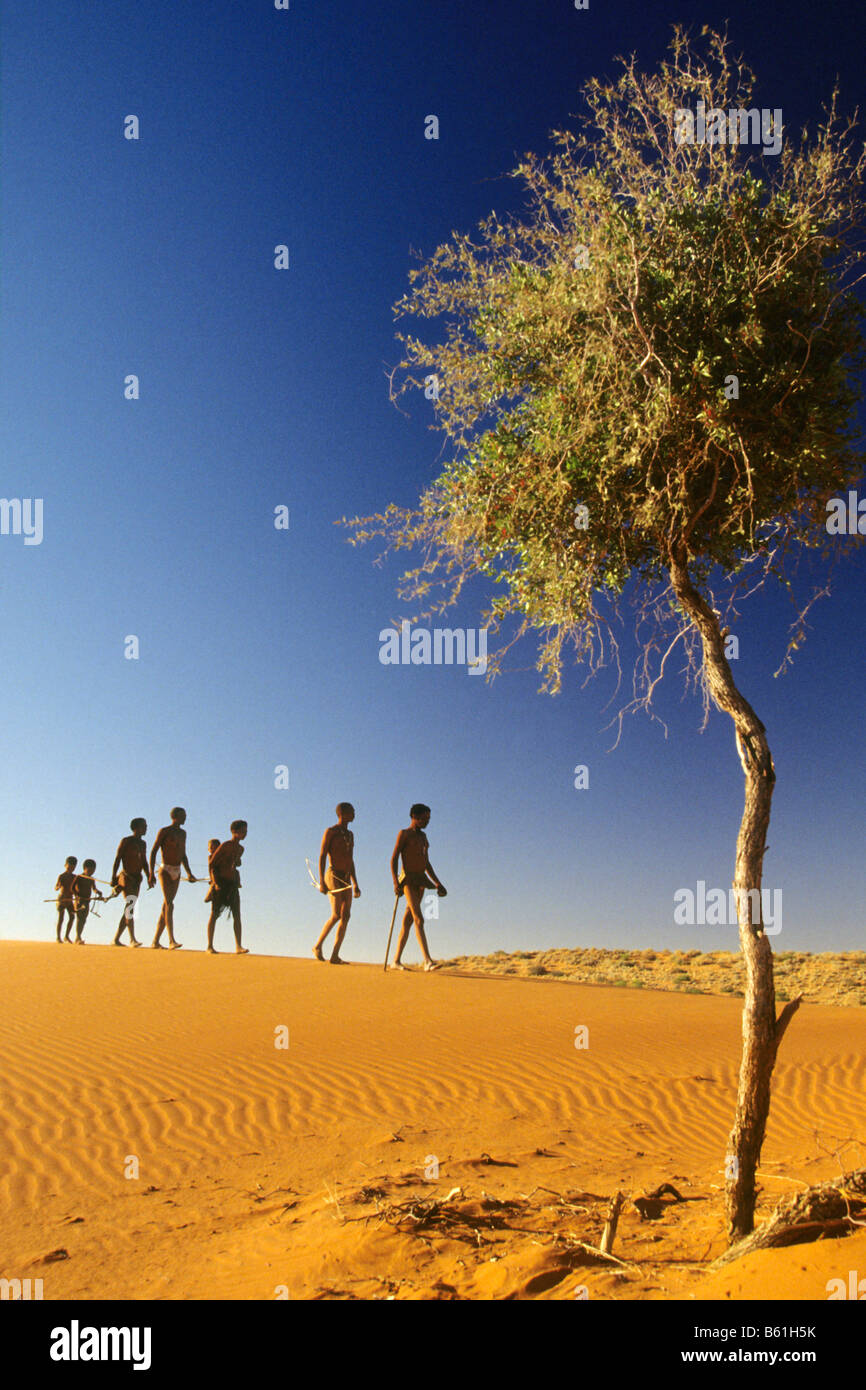 Gruppe der Buschmänner (San) auf Sanddüne Stockfoto