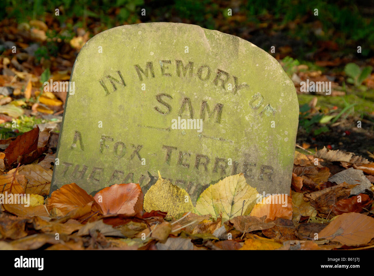 Haustier Friedhof: Tombstone, einen Hund auf dem Gelände des Priory Park, Reigate, Surrey, England Stockfoto