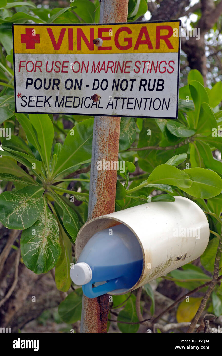 Essig für eine sofortige Behandlung der Box Quallen Stiche (Chironex Fleckerli), an einem Strand in Queensland, Australien Stockfoto