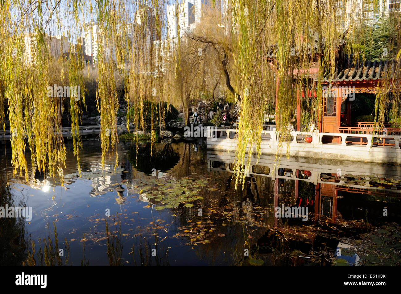 Australischer chinesischer garten Fotos und Bildmaterial in hoher