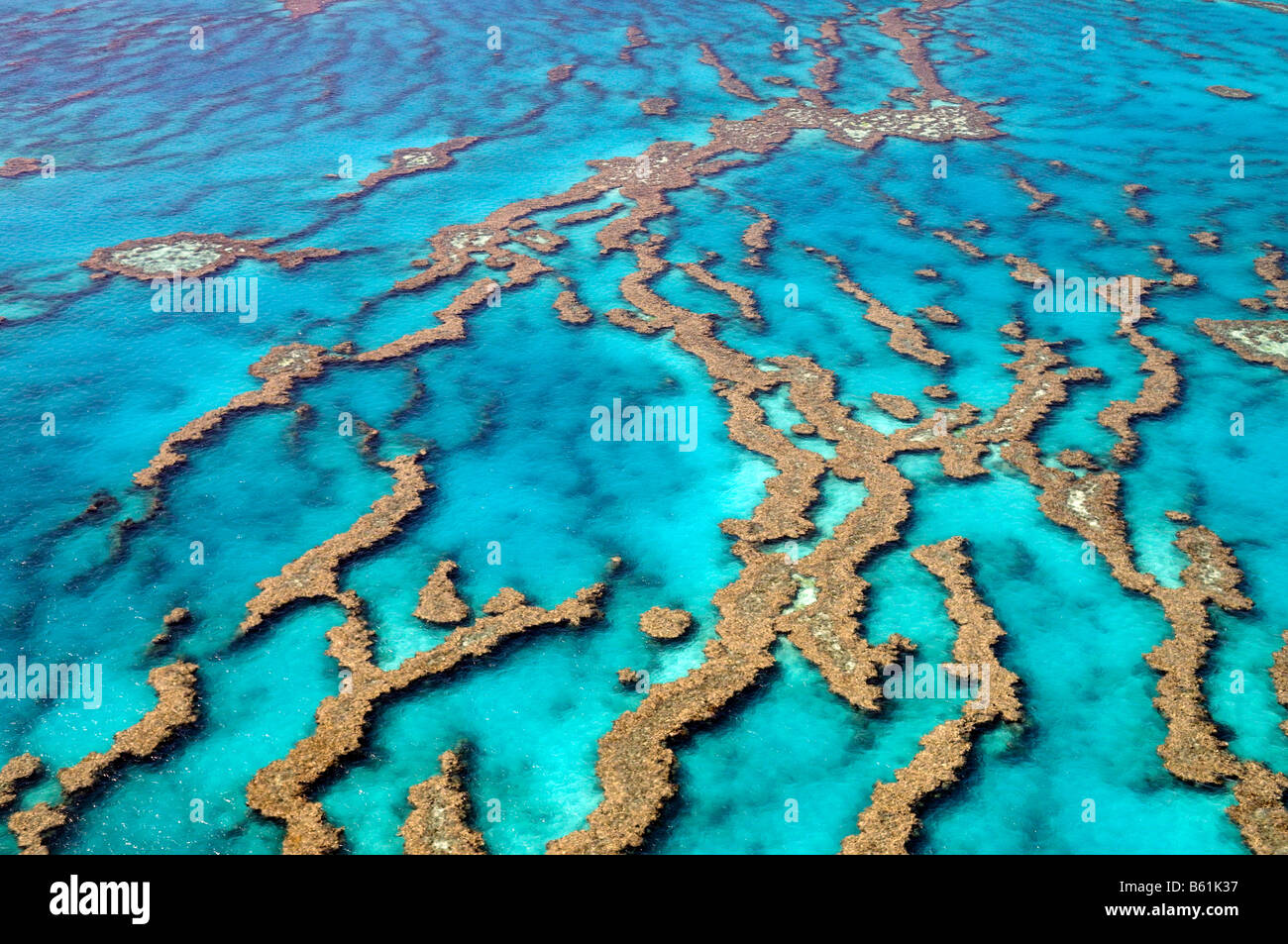 Riffe und Atolle des Great Barrier Reef, Australien Stockfoto
