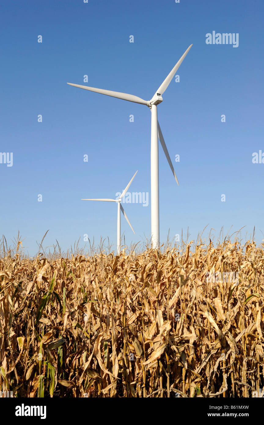 Minnesota Wind Turbine Windmühle auf Hof Feld erzeugen Strom alternative Energie Stockfoto