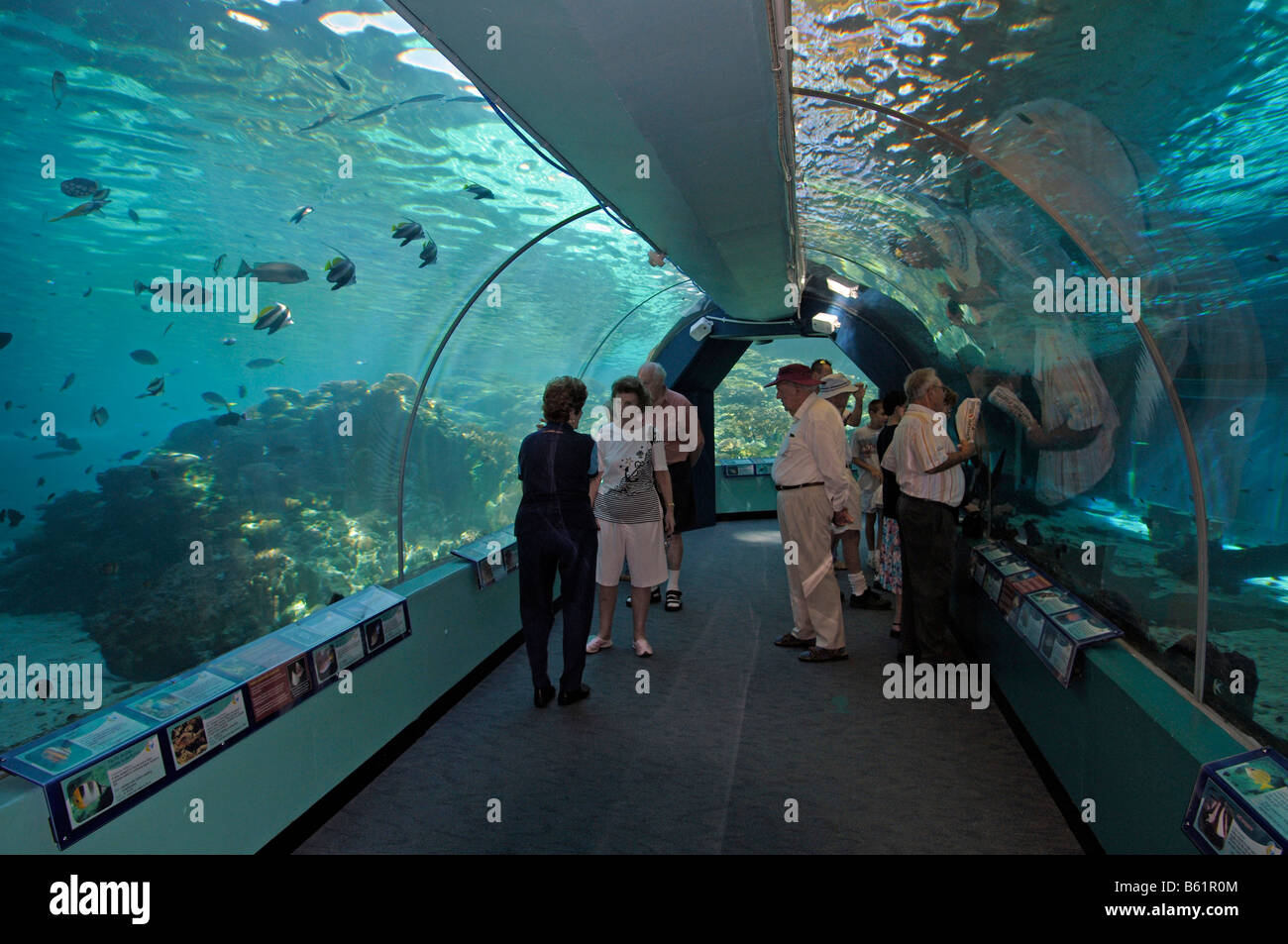 Touristen in den Tunnel der Reefworld HQ, das größte Riffaquarium der Welt, Townsville, Australien Stockfoto