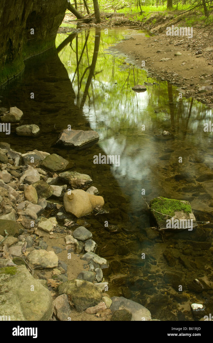 Reflexionen in Hemlock Draw Hemlock Creek auf Eigentum von The Nature Conservancy Sauk County Wisconsin Stockfoto