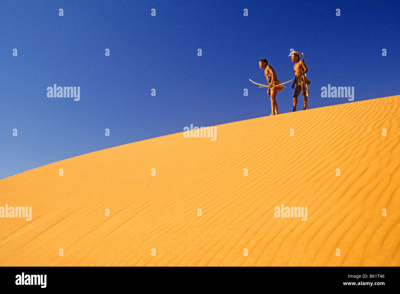 Buschmänner (San), Männer auf Sanddüne Stockfoto