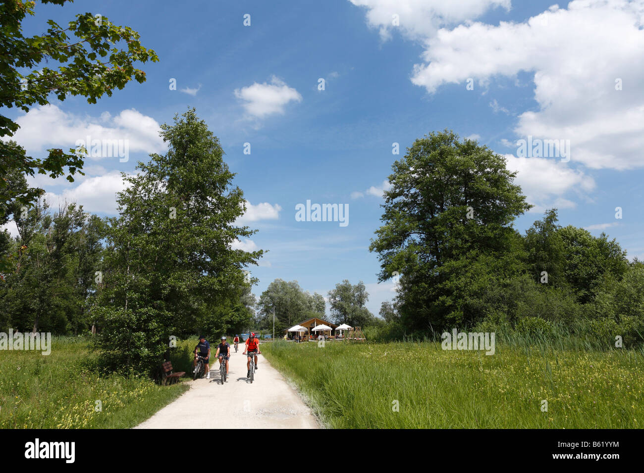 Cycle Track und Wanderweg in der Nähe von Prien, Chiemgau, Oberbayern, Deutschland, Europa Stockfoto