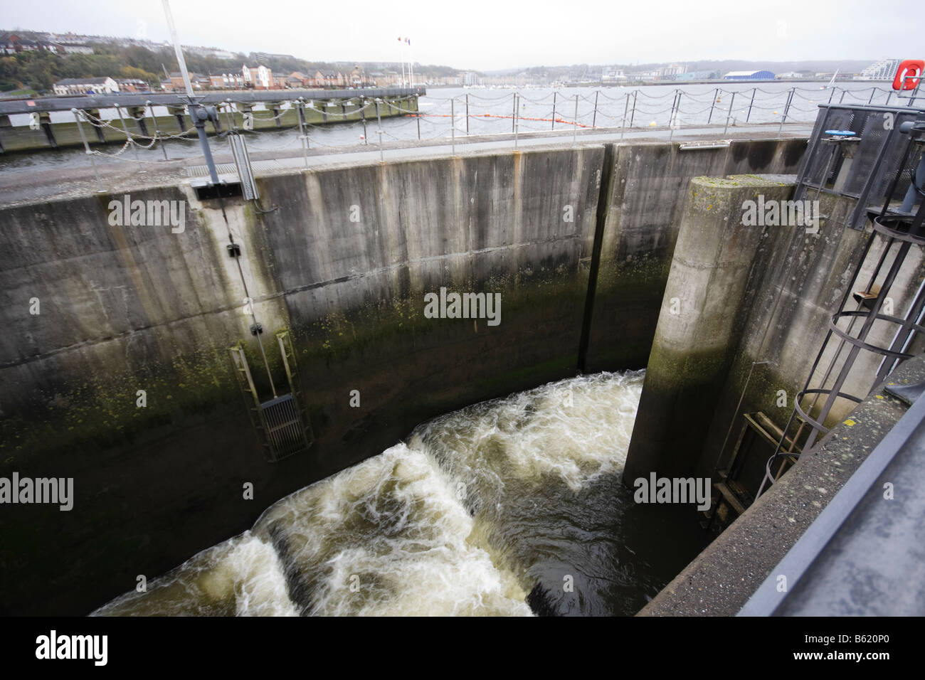 Lachs-Pass auf Flut von Cardiff in Wales, Vereinigtes Königreich Stockfoto