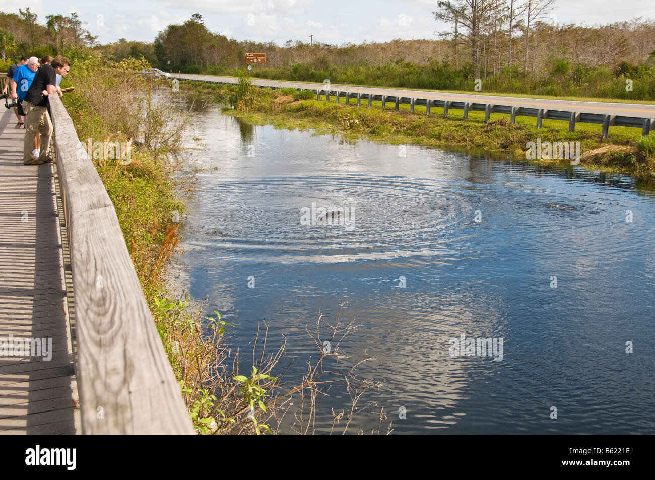 Promenade von Canal an der Big Cypress National erhalten Besucher Center Everglades uns 41 Tamiami Trail Florida Stockfoto