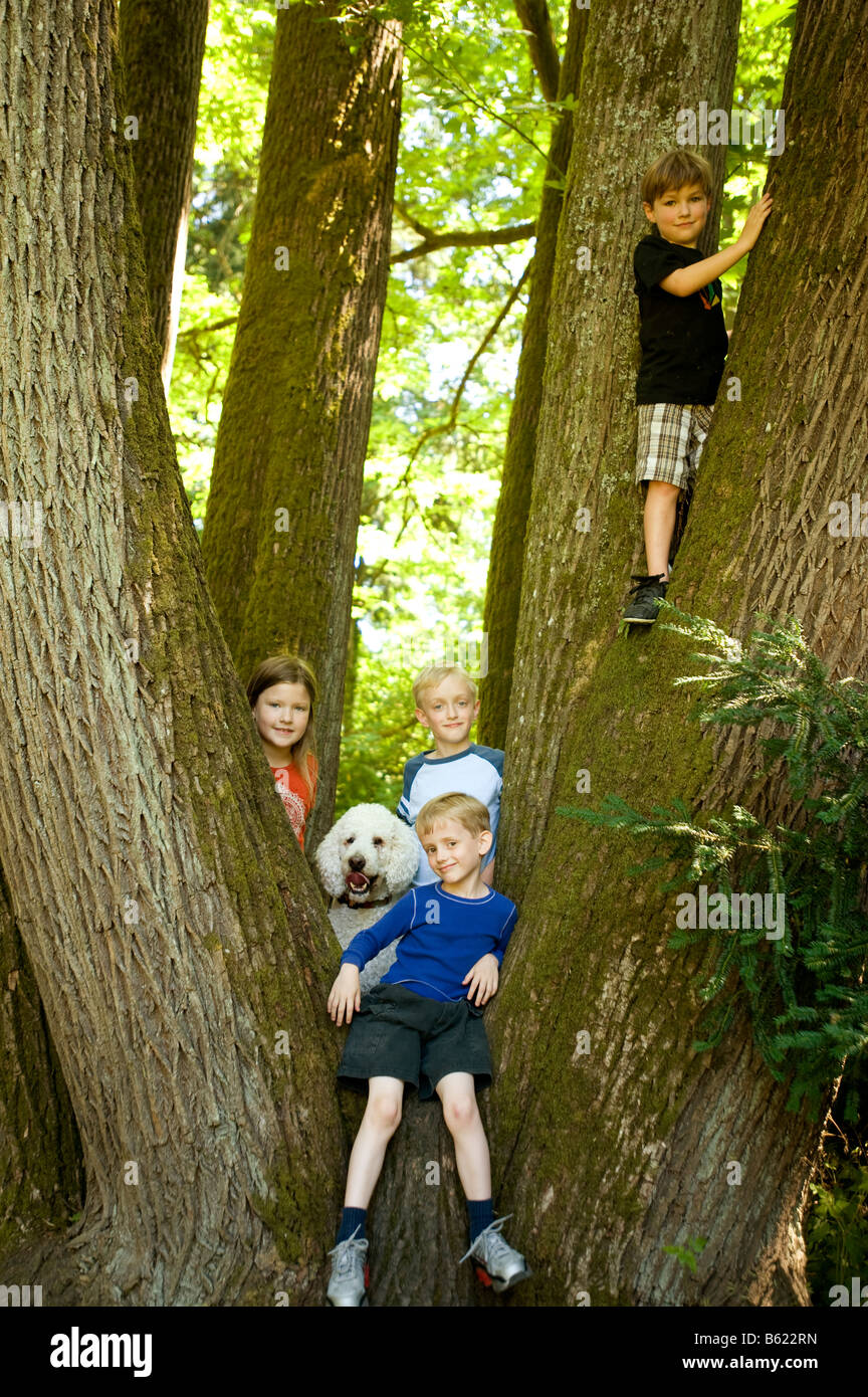 Eine Gruppe von Nachbarskindern im Alter von 5 bis 10 hängen in einem Baum mit ihrem Haustier Pudel Stockfoto