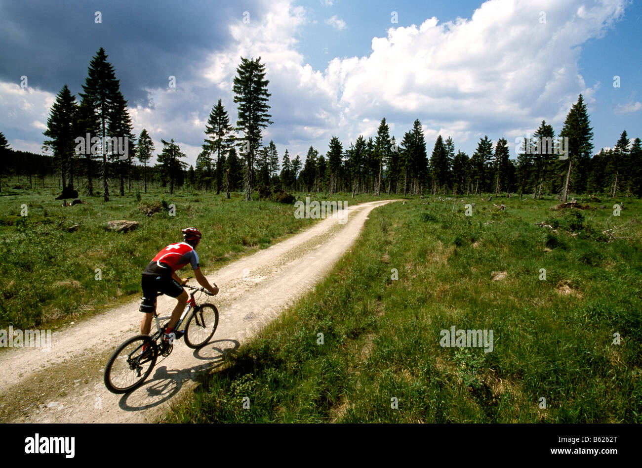 Mountainbiker, Nationalpark Bayerischer Wald, Bayern, Deutschland, Europa Stockfoto