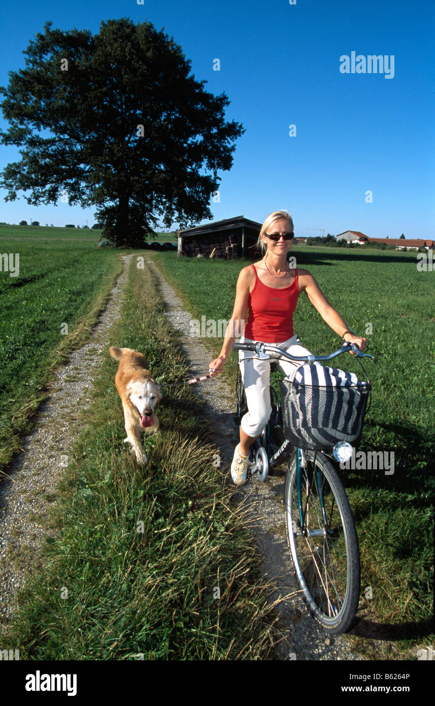 Frau Fahrrad Hund Stockfotos und -bilder Kaufen - Alamy