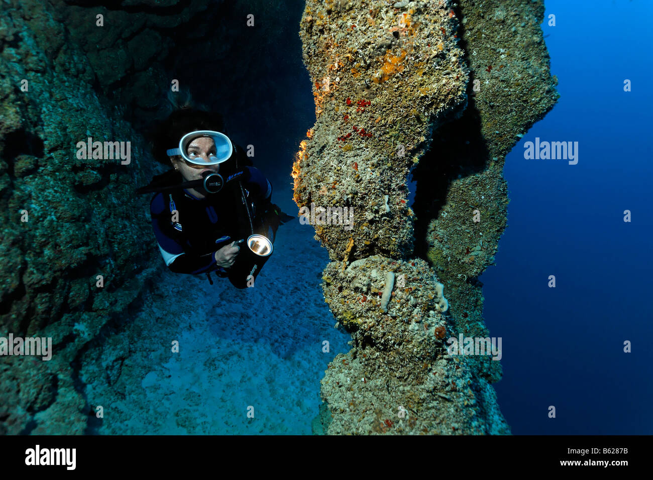 Weibliche Taucher mit einer Lampe, Blick auf Stalctites und Stalagmiten, die sich in einer Tiefe von 45 m in das Blue Hole Nati zusammengeschlossen haben Stockfoto