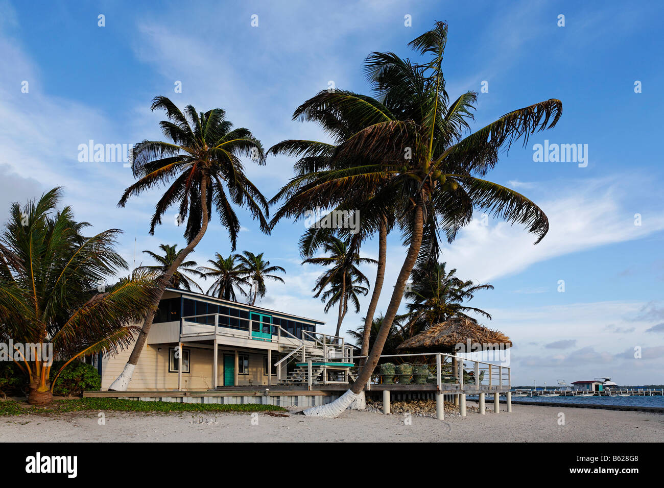 Bungalow, Turneffe Flats, Turneffe Atoll, Belize, Mittelamerika, Caribbean Stockfoto