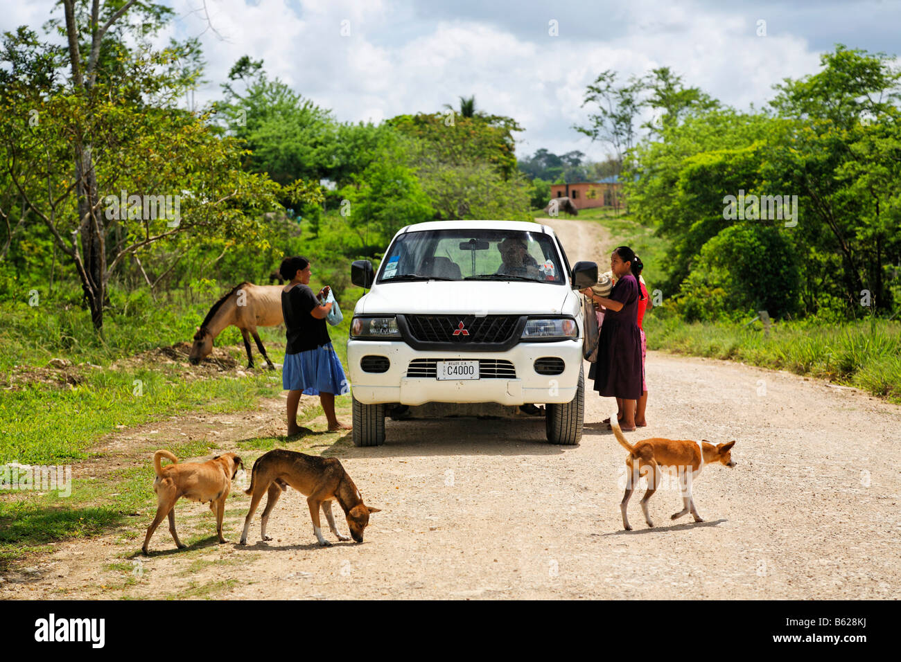 Einheimische Frauen mit Souvenirs für Touristen in ein Mitsubishi-Auto, Hunde, Pferde, Schotterweg, Punta Gorda, Belize, Mittelamerika, Stockfoto