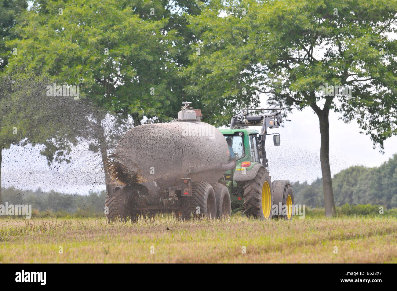 Landwirt Gülle auf einem abgeernteten Feld verteilt Stockfoto