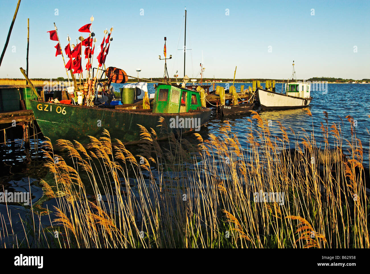 Boote im Hafen von Gross-Zicker in Moenchgut, Insel Rügen, Mecklenburg-Western Pomerania, Deutschland, Europa Stockfoto