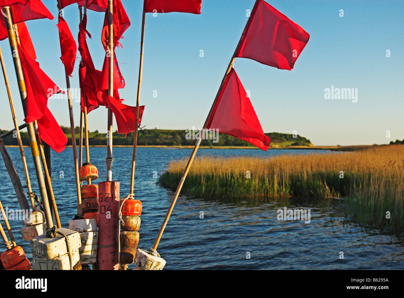Rote Fahnen im Hafen von Gross-Zicker in Moenchgut, Insel Rügen, Mecklenburg-Western Pomerania, Deutschland, Europa Stockfoto