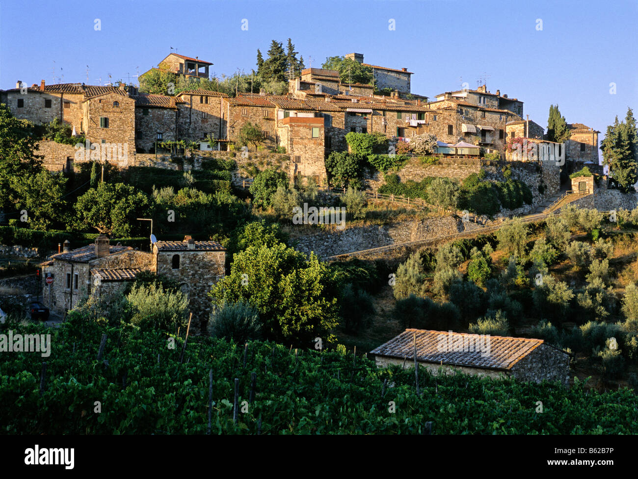Wein produzierenden Dorf Montefioralle, Provinz Florenz, Chianti und Florenz, Toskana, Italien, Europa Stockfoto