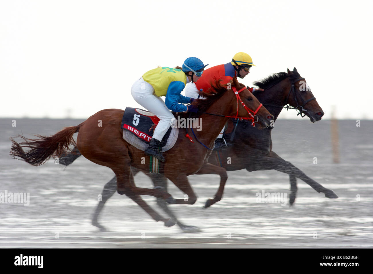 Reiter im Galopp, Duhner Wattrennen, Duhnen Trabrennen Rennen 2008, das einzige Pferderennen der Welt auf dem Meeresboden, Cuxhaven, Lo Stockfoto