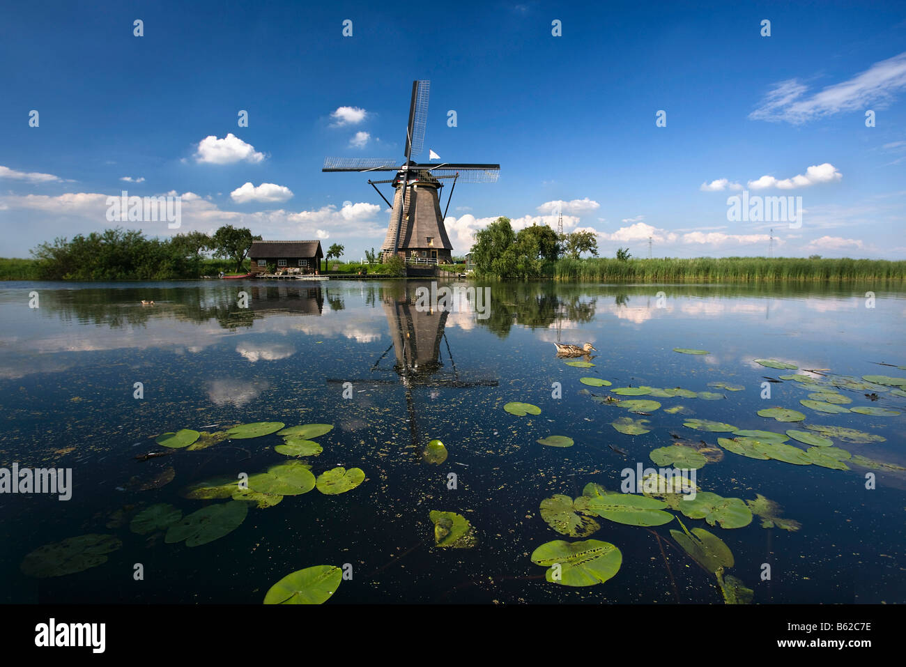Niederlande Zuid-Holland Kinderdijk Windmühlen zum UNESCO-Weltkulturerbe Stockfoto