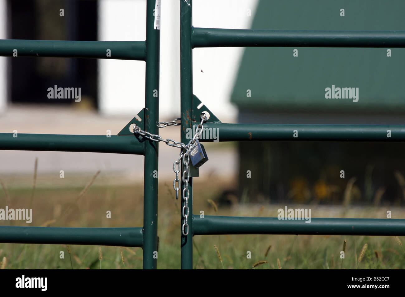 Eine Landwirtschaft Weide auf dem Gelände einer landwirtschaftlichen Schule College der Ozarks in Branson Missouri Fokus auf das Tor Schloss Stockfoto