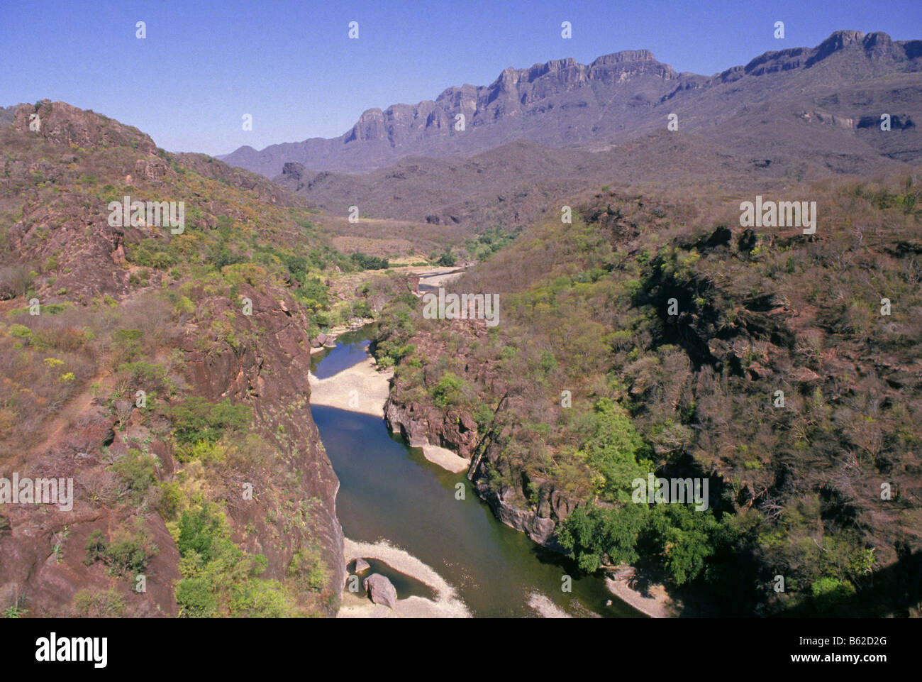 Westhang des Sierra Madre entlang der Route des Chihuahua al Pacifico Zug nach Copper Canyon Barrancas del Cobre, Mexiko. Stockfoto
