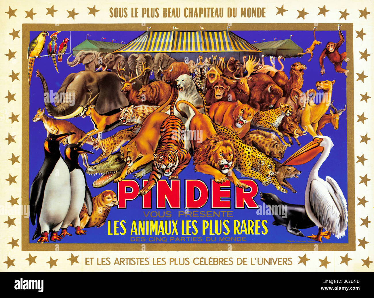 Tiere der 1950er Jahre Pinder Circus Plakat für der französischen Reisenden Menagerie von seltenen Tieren aus der ganzen Welt Stockfoto