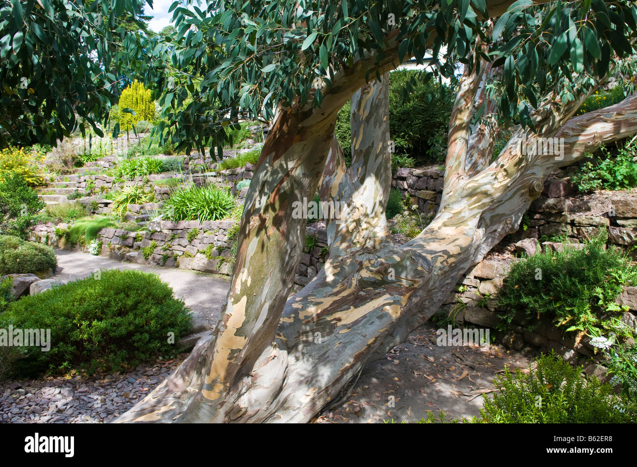 Inverewe Gardens, Poolewe, Scotland, UK Stockfoto